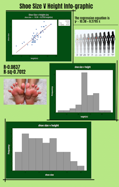 Emily's Infographic