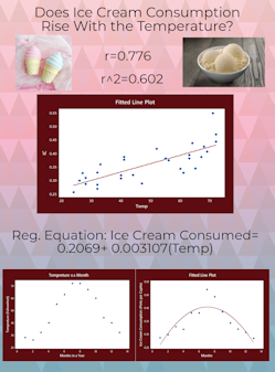 Vincent's Infographic