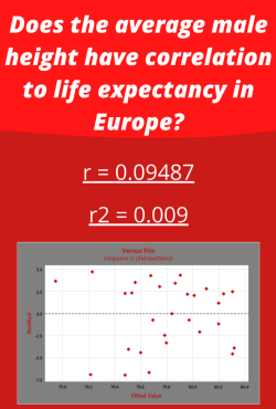 Maverick's Infographic